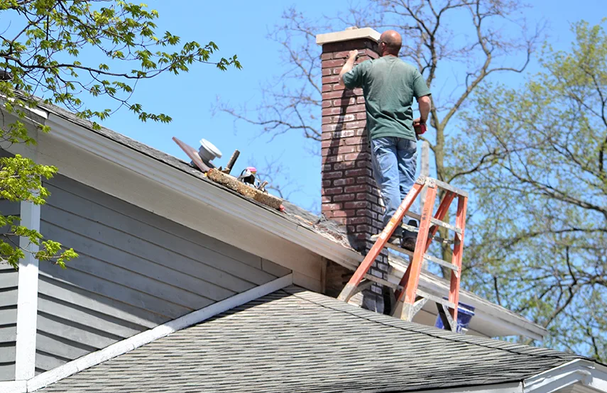 Chimney & Fireplace Inspections Services in Logan, UT